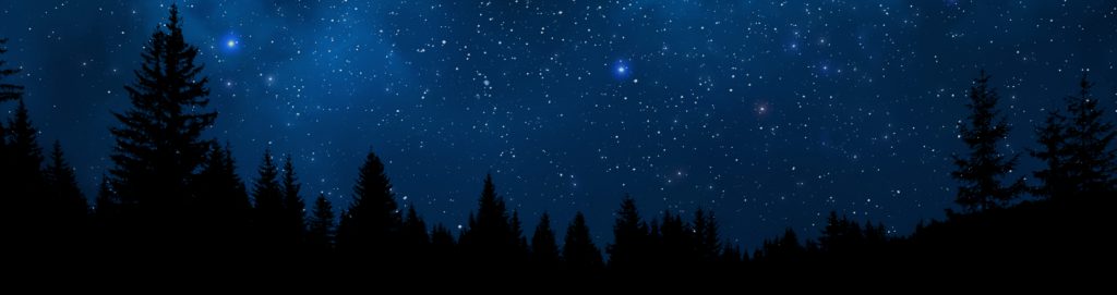 General Inquires Thank You - ClearPoint Neuro